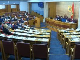 Suada Zoronjić i Božana Jelušić glasale ZA Rezoluciju o genocidu o Srebrenici (VIDEO)