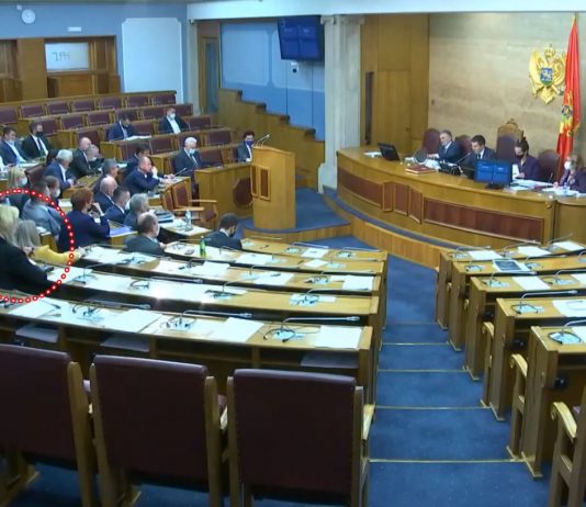 Suada Zoronjić i Božana Jelušić glasale ZA Rezoluciju o genocidu o Srebrenici (VIDEO)