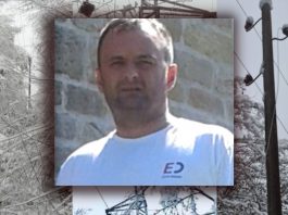 Direktor EPS-a u Novom Pazaru – Najveći problem nam prave grane! Da li EPS radi svoj posao?