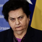 Majkić nakon sjednice komisije državnog parlamenta: EU želi parkirati migrante u BiH