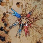 Sirija: Djeca u blatnjavom izbjegličkom kampu Ebu Fida u Idlibu