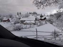 Snijeg ne prestaje da pada, putevi uglavnom prohodni (Foto)