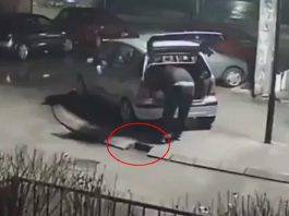 Krađa ivičnjaka u Prijepolju