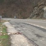 Strašan prizor uz Ibarsku magistralu otkriven kada se otopio sneg