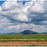Zaštićeno područje Peštersko polje nestaje u saksijama za cvijeće