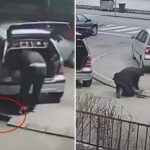 Epilog nesvakidašnje krađe u Prijepolju: Muškarac ukrao ivičnjak, pa ga vratio