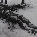 Goražde – jedini grad na Drini u kojem je podignuto spomen-obilježje na četnički genocid u Drugom svjetskom ratu (1941-45)