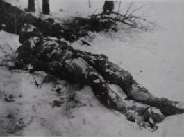 Goražde – jedini grad na Drini u kojem je podignuto spomen-obilježje na četnički genocid u Drugom svjetskom ratu (1941-45)