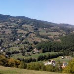 Bijelo Polje: Najviše novca za proizvođače mlijeka