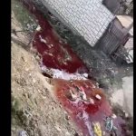 SRAMOTNO: Novi Pazar od rijeke napravio septičku jamu i izvor zaraze