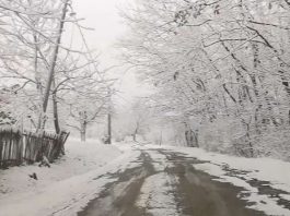 Snijeg izazvao kolaps u opštini Nova Varoš