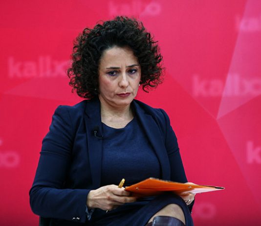 USVOJENE ŽALBE INICIJATIVE NAŠA, SDU i NDS – Adrijani Hožić poništeno 4.205 glasova iz opština na sjeveru Kosova