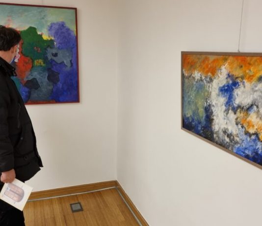 Otvorena izložba slika novopazarskog umetnika Seda Zejnelagića