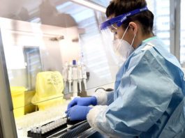 IZJ – Osam smrtnih ishoda, 567 novopozitivnih, u Pljevljima 25. Oko 2.500 Pljevljaka bilo, ili je inficirano SARS-CoV-2 virusom