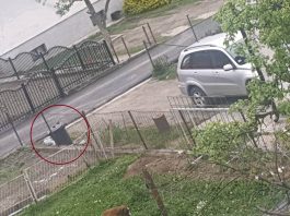 PORODILJA IZ PRIJEPOLJA PRIZNALA DA JE UGUŠILA SVOJU BEBU: Prijeti joj kazna do 5 godina zatvora