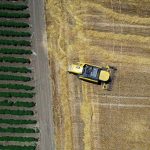 Turska zabilježila historijski uspjeh na polju izvoza poljoprovrednih proizvoda