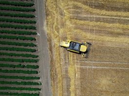 Turska zabilježila historijski uspjeh na polju izvoza poljoprovrednih proizvoda
