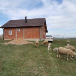 “Hajrat” uz učenje Kur’ana, salavata, tekbira uselio porodicu Mulić u novi dom