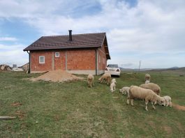 “Hajrat” uz učenje Kur’ana, salavata, tekbira uselio porodicu Mulić u novi dom