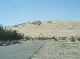 Dan pobjede na Bedru