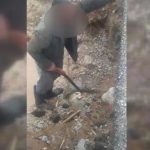 Drvenim klinovima riješen problem popucalih cijevi na Pešterskom vodovodu (Video)