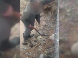 Drvenim klinovima riješen problem popucalih cijevi na Pešterskom vodovodu (Video)