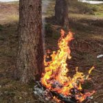 Izletnici kod Rožaja ostavili nered za sobom, umalo i šumu zapalili (Foto)