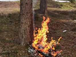 Izletnici kod Rožaja ostavili nered za sobom, umalo i šumu zapalili (Foto)