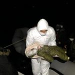 Turski ministar objavio video, tvrdi da grčke snage pokušavaju zapaliti migrante