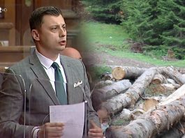 Tandir: Odmah prestati sa nekontrolisanom sječom šuma u Sandžaku