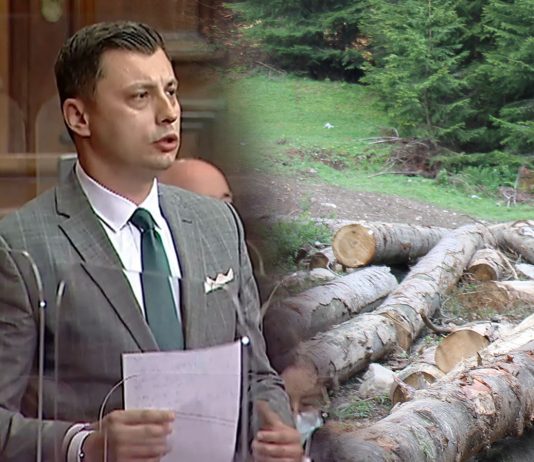 Tandir: Odmah prestati sa nekontrolisanom sječom šuma u Sandžaku