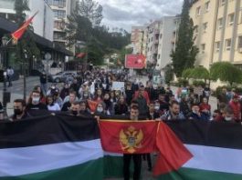 Protest podrške Palestini u Bijelom Polju