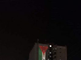 Novi Pazar uz Palestinu
