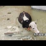 Izgradnja bazena za vodu u naselju Mala Ravan od 2016.do danas-kako smo prevareni po ko zna koji put