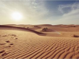 Ali ne samo zbog vode