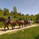 Pavinopoljac Ilija Rmandić ljubav prema konjima pretočio u zanimljiv porodični posao (video)
