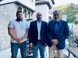 Hoćemo da dijaspori institucionalno otvorimo vrata i pružimo apsolutnu podršku