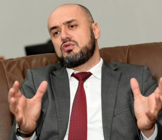 Hadžić: Dijaspora da ne bude moneta za političko potkusurivanje