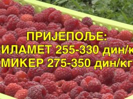 Prijepolje: Vilamet 255-330 din/kg – Miker 275-350 din/kg