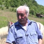 Milutin Vuković, iz Velike Župe kod Prijepolja penzionerske dane provodi obrađujući zemlju sa konjem