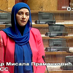 Dr. Pramenković: Majke sa četvoro i više djece proglasiti herojima današnjice