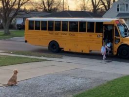 OŠ “Savin Bor dobija školski autobus od Minsitarstva