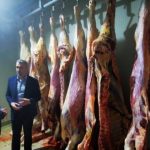 Kurbanska akcija teče planiranim intenzitetom