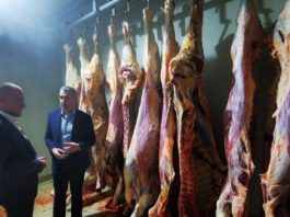 Kurbanska akcija teče planiranim intenzitetom