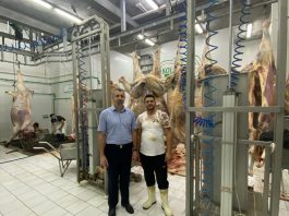 Uspješno okončana kurbanska akcija