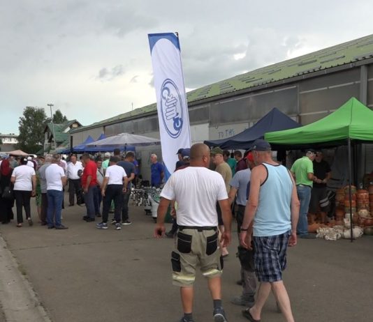 Sajam poljoprivrede u Sjenici: Niko i ništa stočarima ne smije osporiti kvalitet