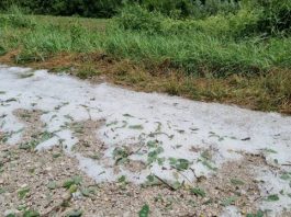 PADAO GRAD VELIČINE LJEŠNIKA – Jako nevrijeme u Prijepolju – kiša pokrenula odrone, dio grada bez struje zbog udara groma