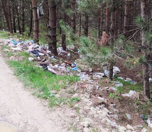 Ministarstvo životne sredine odbilo projekat Novog Pazara jer je neuredan i nepotpun
