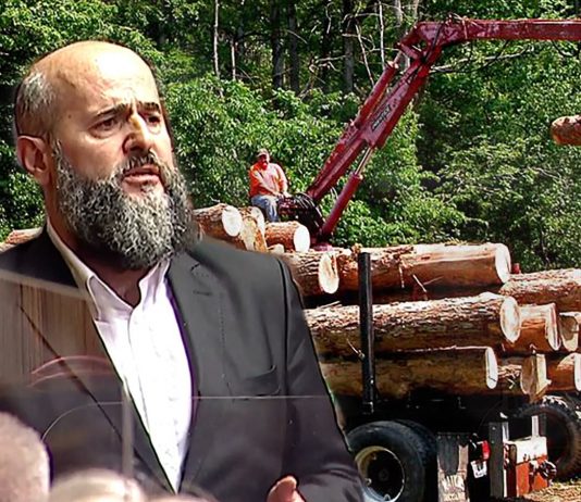 Akademik Zukorlić: Zaustaviti masovnu sječu šuma u Sandžaku