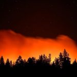 U šumskim požarima poginule 42 osobe, među njima i 25 vojnika